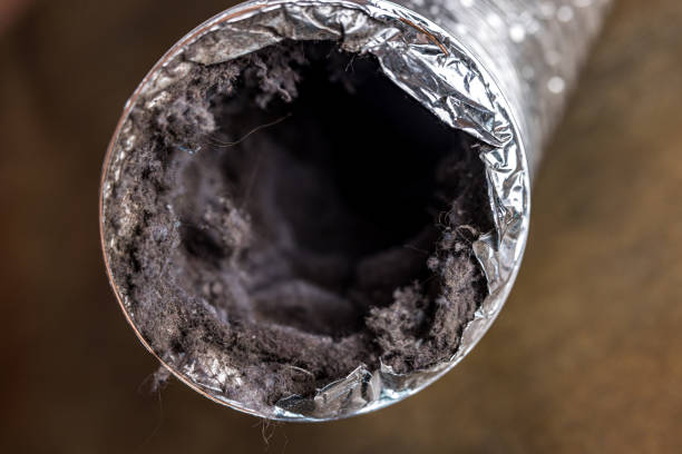 Best Dryer Vent Cleaning Services  in Calais, ME